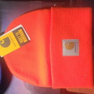 Carhartt beanie (brand new)